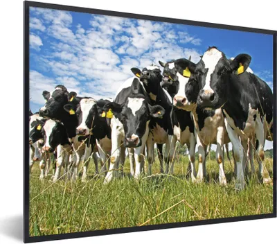 Produktbild von MuchoWow® Gerahmtes Poster Kühe - Gras - Wiese - Tiere 40x30 cm - Poster mit Schwarzem Bilderrahmen Wandposter Rahmen Foto Bilder - Kunstposter - Wanddekorationen