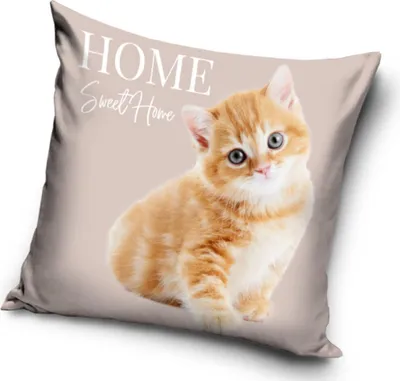 Zdjęcie produktu dla Katze Home Poszewka na poduszkę 40x40 cm welur