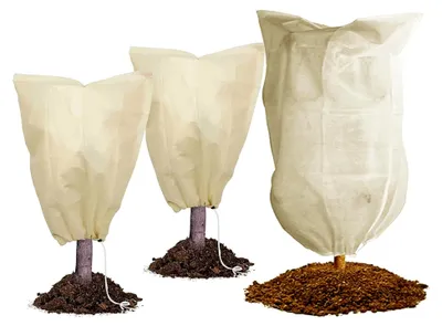 Produktbild von 3er Set Winterschutz für Pflanzen, Pflanzenschutz im Winter, Frostschutzsack für Pflanzen, Abdeckung aus Vlies, Zugband Beige (80 x 120 cm und 60 x 80 cm)