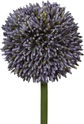 Produktbild von künstliche Allium Kugelblüte lila H. 64cm Blüte D. 11cm GASPER Kunstblume