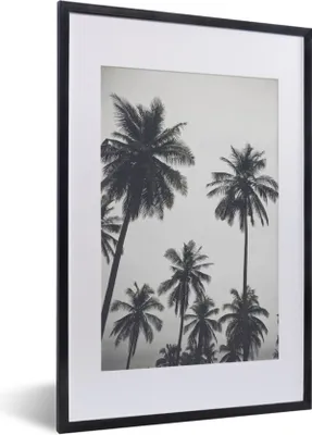 Produktbild von MuchoWow® Gerahmtes Poster Palme - Tropisch - Natur 40x60 cm - Poster mit Schwarzem Bilderrahmen Wandposter Rahmen Foto Bilder - Poster in Rahmen