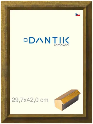 Obrázok produktu pre Rám DANTIK 29,7x42 | Forgia Gold (Plexi Clear)