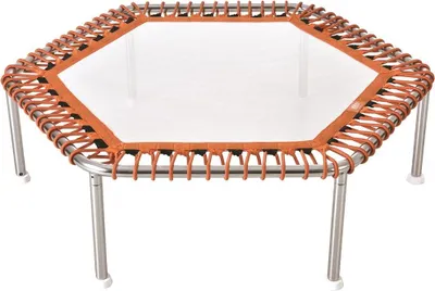 Produktbild von Waterflex Trampoline Premium Hexagonal One Size