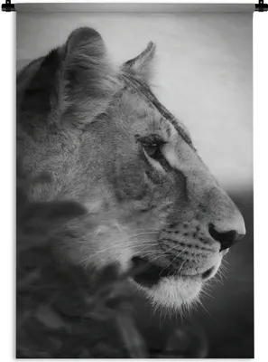 Produktbild von MuchoWow® Wandteppich Wandbehang Porträt eines Tigers im Dschungel - schwarz und weiß 60x90 cm Tapisserie Dekoration Wandtuch - Foto-Teppich - Abwaschbar