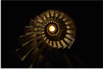 Produktbild von ARTland Wandbild Alu für Innen & Outdoor Colimacon Jaune Größe: 30x20 cm