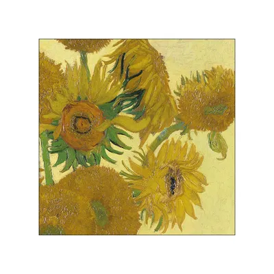 Image de Serviettes de table Lunch - Serviettes de table Lunch - Format : 33 x 33 cm - 3 plis - 20