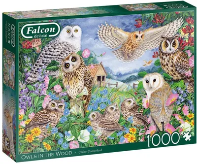 Zdjęcie produktu dla Falcon de luxe Owls in the Wood 1000 pcs, 1000 szt., Fauna, 12 lat(a)