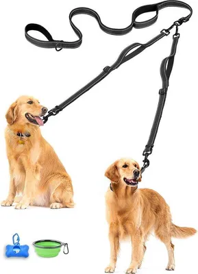 Produktbild von Famanu Doppelleine für 2 Hunde - Verstellbare, reflektierende Leine mit 4 gepolsterten Handgriffen (schwarz)