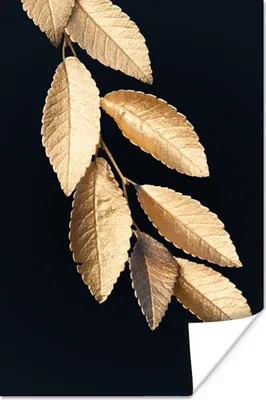 Produktbild von MuchoWow® Poster Blätter - Schwarz - Gold - Luxus - Pflanzen 40x60 cm - Plakate für die Wand - Poster Babyzimmer