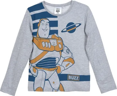 Productafbeelding van Disney Toy Story 4, langarm-T-shirt van grijze katoen voor jongens, maat 98