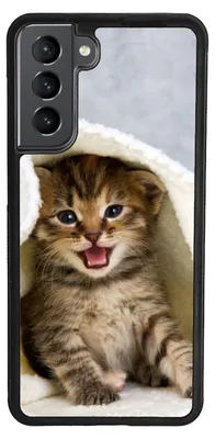 Produktbild von TPU Silikon Hülle für Samsung Galaxy A17 5G Handy Cover Case Schutzhülle Handyhülle Bumper MOTIV 271 Katze Kätzchen Kitten