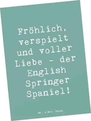 Produktbild von Mr. & Mrs. Panda Postkarte Spruch English Springer Spaniel Freude - Meeresbrise - Geschenk, bildkarte, Hunderassen Beschreibung, Ansichtskarten, freundlich, Jagdhund