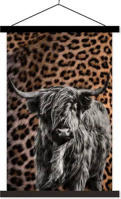 Produktbild von MuchoWow® Textilposter Schottisches Hochlandrind - Schwarz - Panther 60x90 cm mit schwarzem Rahmen - Poster Wohnzimmer