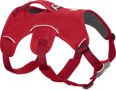 Produktbild von Ruffwear Hundegeschirr Web Master™ Harness Red Currant, Größe: L/XL