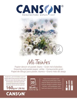 Immagine prodotto di CANSON MI-TEINTES 32X41 160G, colore bianco, blocco da 20 fogli