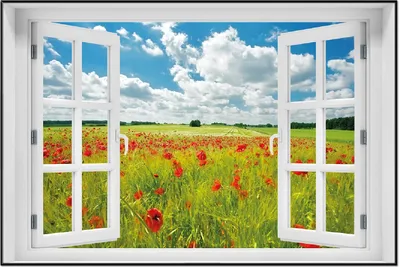 Produktbild von Wallario Wandbild mit Fenster-Illusion: Grüne Wiese mit Mohnblumen, Größe: 61 x 91,5 cm, Poster mit schwarzem Aluminiumrahmen