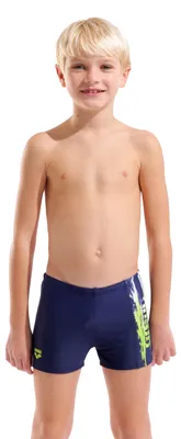Produktbild von B Arena Paint Swim Short Navy-Navy Multi Navy-Navy Multi 152