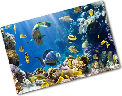 Produktbild von Tulup Glas Herdabdeckplatte - 80x52 cm - Glaskeramikkochfeld-Abdeckung Spritzschutz Glasabdeckplatte - Einteilig - Tiere - Korallenriff - Mehrfarbig