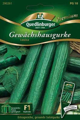 Produktbild von Quedlinburger Saatgut - Gewächshausgurken Louisa - Samen - 290261