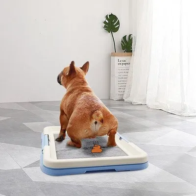 Produktbild von Famanu Tragbares Hundetrainingstoilette - Hygienisch für kleine Hunde und Katzen