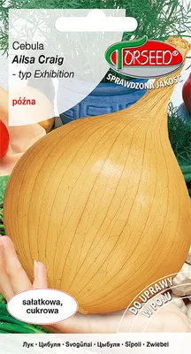 Produktbild von Ailsa Craig Zwiebelsamen - Torseed