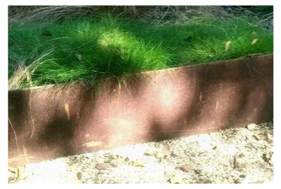 Produktbild von Rasenkante Rolle, 1 mm dick, 20 cm hoch