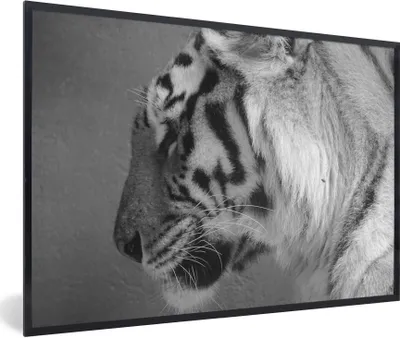 Produktbild von MuchoWow® Gerahmtes Poster Tiger - Tiere - Schwarz - Weiß 30x20 cm - Poster mit Schwarzem Bilderrahmen Wandposter Rahmen Foto Bilder - Kunstdruck - Bild-Poster