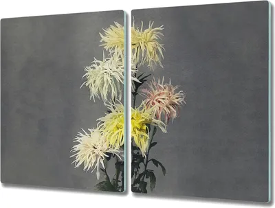 Produktbild von Coloray Hackbrett Herdabdeckplatte 2x40x52 cm Küchenbrett Kochplattenabdeckung Schneidebrett - Blumen Pflanzen