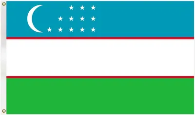 Zdjęcie produktu dla Go Go Gadget – flaga – 90 x 150 cm – Uzbekistan