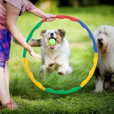Produktbild von Kinderturngerät für Mädchen und Jungen - Verstelbar und abnehmbar - Sport- und Fitness-Training - Farbenfroh - Spielzeug Tanzspiel