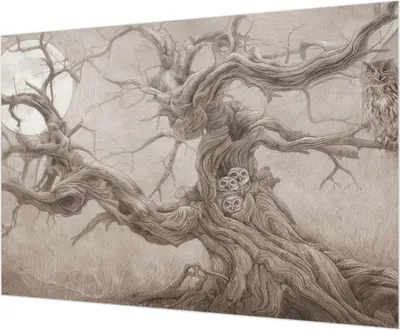 Produktbild von Wandtapete - Dekorative Tapete für Wohnzimmer - Tapetenfolie für Wanddekoration - 208x146 cm - Nachtvögel