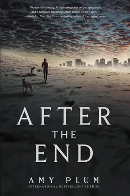 Immagine prodotto di After the End