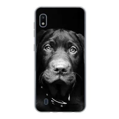 Produktbild von MuchoWow® Handyhülle Schutzhülle Hülle für Samsung Galaxy A10 Hund - Leicht - Schwarz Silikon Softcase Handy Hülle - Schutzhülle