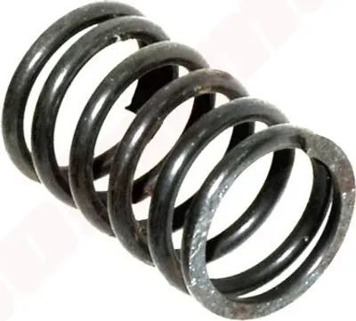 Immagine prodotto di Molla valvola Yanmar L 70 ( 114399-11120 )