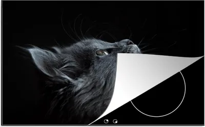 Produktbild von KitchenYeah© Herdabdeckplatte Katze - Licht - Schwarz , 81x52cm, Küche Deko, Glaskeramikkochfeld Herdabdeckung, Abdeckplatte fùr Kochfeld