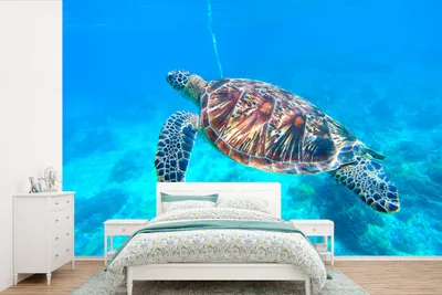 Produktbild von MuchoWow® Fototapete für Wohnzimmer oder Schlafzimmer Wandtapete Vinyl Motivtapete Schildkröte - Meer - Blau - 450x300 cm - Gemusterte