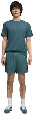 Obrázok produktu pre Šortky Puma 691697 pre Pánske