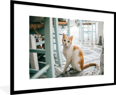 Produktbild von MuchoWow® MuchoWow® Gerahmtes Poster Katze - Stuhl - Boden 90x60 cm - Poster mit zchwarzem Bilderrahmen - Wanddekoration - Fotos
