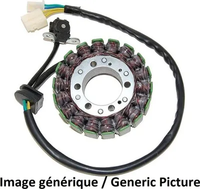 Produktbild von ElectroSport Stator ESG113 für Lichtmaschine für Ninja 300 B EX ABS - 29 KW