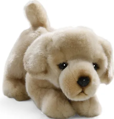 Obrázok produktu pre Carl Dick zlatý retriever floppy cca 23 cm 3217 Mäkká hračka, plyšová hračka, plyšové zvieratko