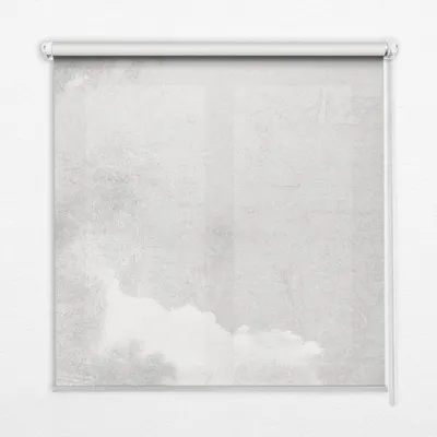 Produktbild von Seitenzug-Rollo Fensterrollo Jalousie - Lichtdurchlässig Springrollos - 80x240 cm - Grauer Himmel