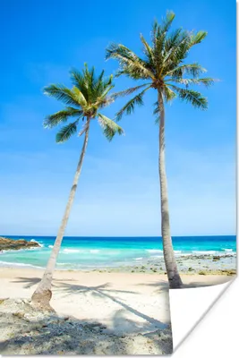 Produktbild von MuchoWow® Poster Palme - Sommer - Tropisch 120x180 cm - Kunstposter