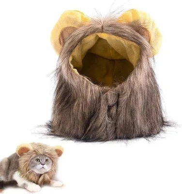 Produktbild von Kreatives Katzenkostüm für Hunde, Fotohokje, Rekwisiten, Hundeaccessoires, Halloween, Weihnachten