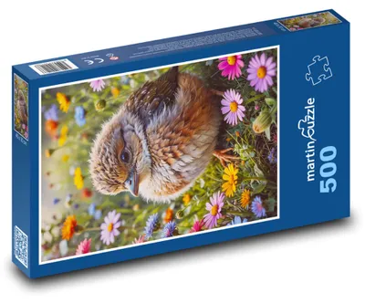 Produktbild von Puzzle 500 Vogel zwischen Blumen - martinpuzzle