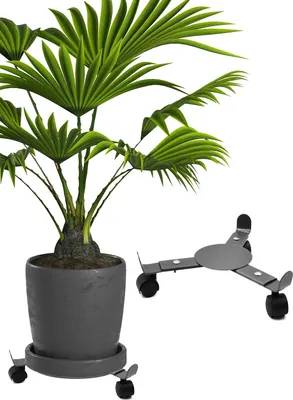 Produktbild von Pflanzenroller ausziehbar Ø 25-37 cm | Pflanzenwagen für Innen & Außenbereich mit Softrollen | Blumenroller aus Metall | Blumentopfhalter | Tragkraft 50Kg