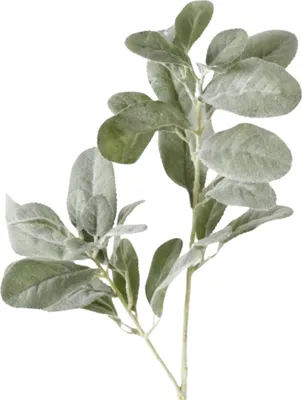 Produktbild von Boltze Gruppe Blätterzweig grün 72 cm