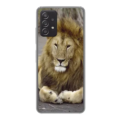 Produktbild von MuchoWow® Handyhülle Schutzhülle Hülle für Samsung galaxy a73 Löwe - Afrika - Tier Silikon Softcase Handy Hülle - Handyhülle