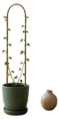 Obrázok produktu pre Bambusová opora, 90 cm x 15 cm, ľahká a odolná, vhodná pre popínavé rastliny, ekologická, biologicky rozložiteľná