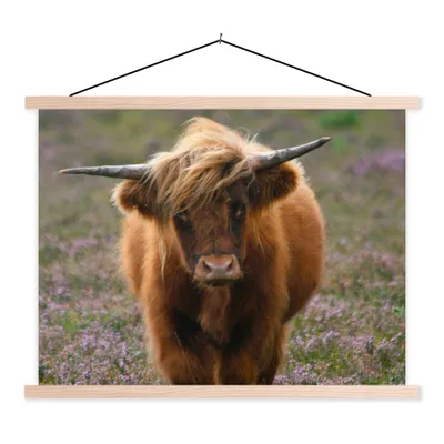 Produktbild von MuchoWow® Textilposter Schottische Hochlandbewohner - Heidelandschaft - Tiere 60x45 cm mit holzfarbenen Rahmen - Bild