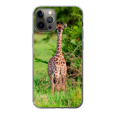 Produktbild von MuchoWow® Handyhülle Schutzhülle Hülle für iPhone 13 Pro Baby - Giraffe - Pflanzen Silikon Softcase Handy Hülle - Handy-Tasche